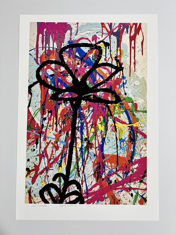 Scott Garrette - Subtle Surprise - Limited Edition Signed Print