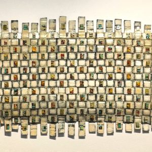 Contemplation by Dede Lifgren