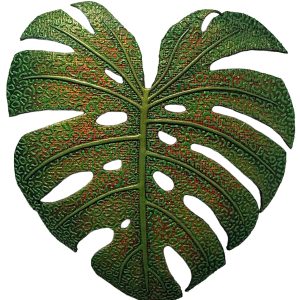 Monstera Deliciosa Two by Dede Lifgren