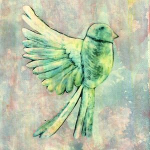 Carol Herd-Rodriguez - Focus