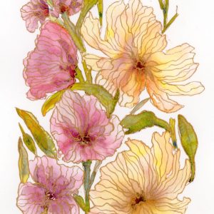 Kelly Edwards - Floral Study