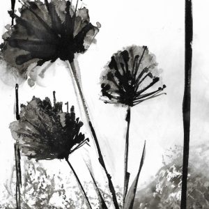 Lesa Cash - Trio