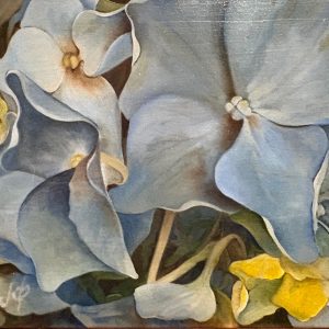 Joanne Ponzo - Hydrangea Blues