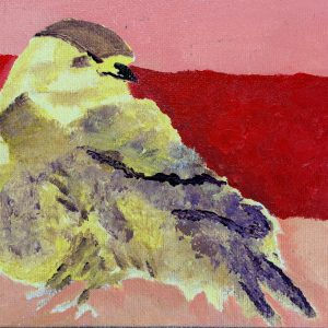 Jennifer Barker Kuskovski - American Goldfinch