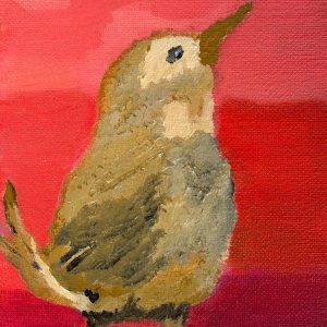 Jennifer Barker Kuskovski - Carolina Wren