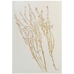 Kelly Edwards - Little Gold Rings