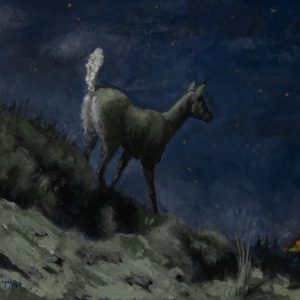 Forrest Sheperd - Wildfire
