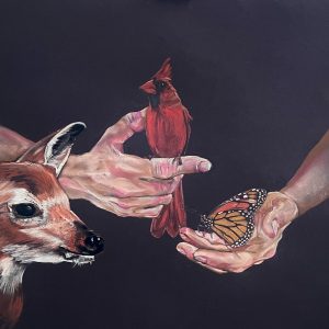 Ann Marie Napoli - Healing Hands