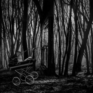 Barbara Ringer - Carriage